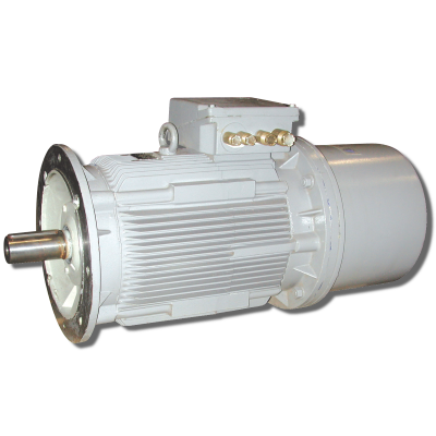 Offshore Motor & Propulsion Special motor IP56 or IP68 with brake or encoder AC and DC